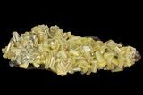 Sandwich Wulfenite Crystal Cluster - Ojuela Mine, Mexico #103493-1